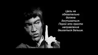 Mine или Plex  Что выгоднее до халвинга^   Купить Mine и отправить в пул или просто купить Plex?