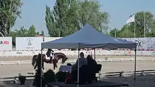 Деревянко Алёна и MONCHSHOF`S RED  DIAMOND. FEI Dressage CDI. Малый Приз. 61,863%. Бишкек 16.05.25.