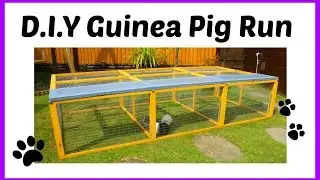 D.I.Y Guinea Pig Run