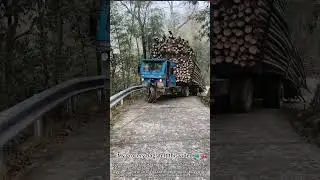 When logs play dead on the truck! 🪵😴