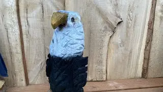 Making a bald eagle carving out of spruce log #Trees #Jesus #Chainsaw
