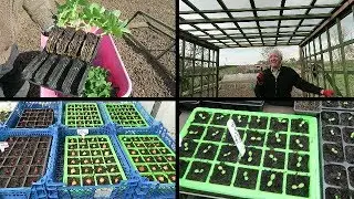 Setting Carrot, Parsnip, And Radish Seed,  Planted Out Broad Beans.