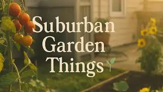 Suburban garden things 🏡🌱🌻