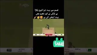 #cricket #sports #crypto