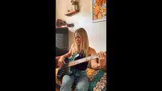 Darwin Derby by Vulfpeck Bass Cover &mdash; Nicole Row #shorts