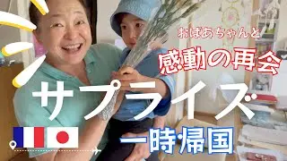 【ワンオペ子連れフライト】 2歳児とサプライズ帰国 | おばあちゃんの反応が...!!