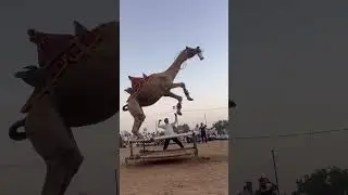 New camel dance #viral #trending #top #topdance #shorts #shortsvideo #jump #mela #dj #camel #top10