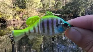 Fish Love This Micro GlideBait - Kayak Fishing In A Secluded River VLOG #8