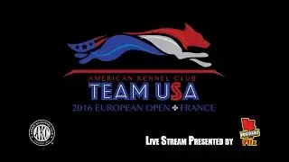 AKC EO Team Tryouts 2015 - Round 1 (Wide Angle)