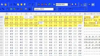Hidden Messages in Videogames ~ Mario's Picross GB