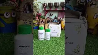 Switching to 100% Organic Gardening 🌿 |Verdenia Home Garden Kit Review | Indian Soil Tested #organic
