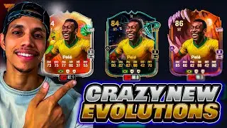 Обзор последних EVOS 👀 PELE, скрытые жемчужины и выборы META