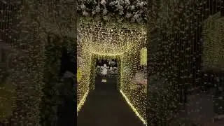 Decoraci&oacute;n entrada t&uacute;nel con follaje y luces... #bodas #novias #casascampestres #novioscristianos