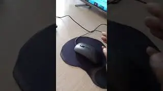 #Computer #Mouse #Info In #Shorts #SGCDigital