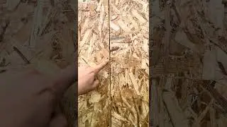 OSB лучше укосин, жесткость выше #obs #каркасныедома #дом #стройка
