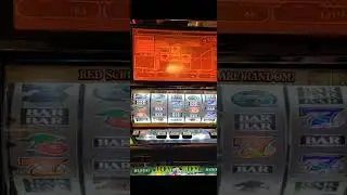 Lucky Duck surprised us!