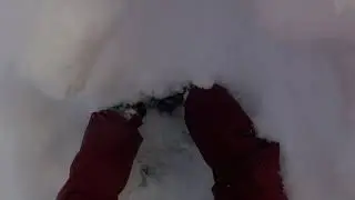 Hassela 3 feb 2018