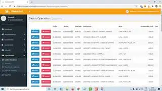 Sistema para transporte de carga pesada.