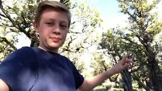 Review of Hampton Buttes Campground