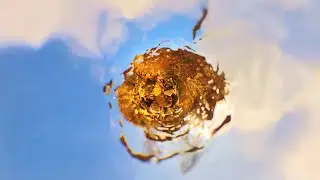 Infinite Spin - Lomond Campbell