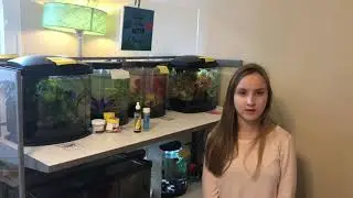 University of Georgia Veterinary Medicine Vet Camp Application 2019