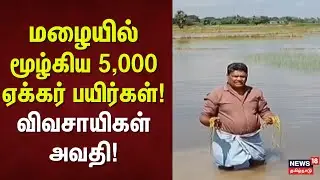 மழையில் மூழ்கிய 5,000 ஏக்கர் பயிர்கள்! விவசாயிகள் அவதி | Crop Damage Tamil Nadu Flood