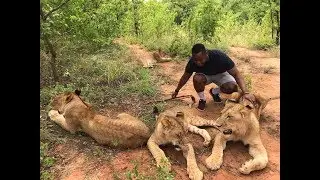 Zambian Travel Reviews