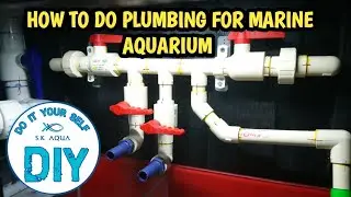 How to do plumbing for marine aquarium? [TAMIL]