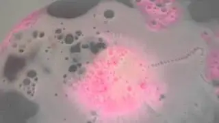 Granny Takes a Dip Lush