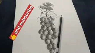 youtube#grapes drawing for beginners#easy#grapes#drawing#ytvideo#trending