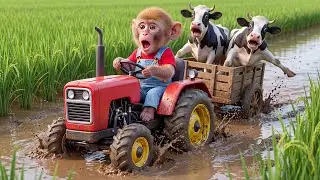 🚜🐒Baby Monkey&rsquo;s Farm ERUPTS as Cows Sink in Deep Mud &mdash; His Smart Rescue Leaves All in Shock!😱