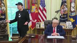 WATCH: Donald Trump and Elon Musk speak as Musk departs the White House
