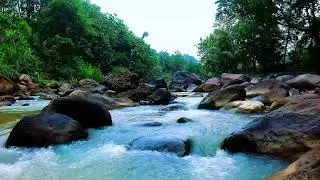 Release Anxiety with Slow Moving River Sounds and Still Pools Between Stones