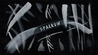 Sparrow (ink on paper animation)