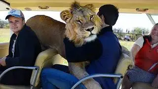 Wild Animals Are Surprising Visitors In The Most Special Ways