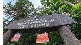 Bukit Gasing Hike 2026