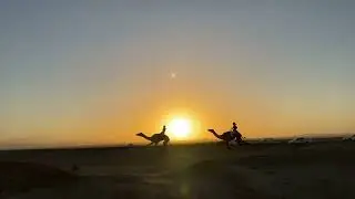 مركاض في الميدان الجنوبي بآملج بمناسبة زواج (فواز لافي الحمدي)