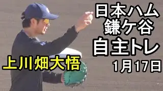 上川畑大悟、淺間大基、自主トレ（日本ハム鎌ケ谷）2026.1.17