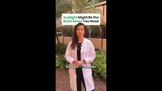The Surprising Way Sunshine Transforms Your Brain