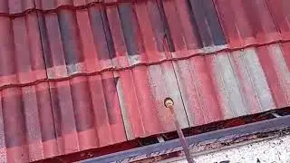 Shakespeareroofing # clean # roofing # best