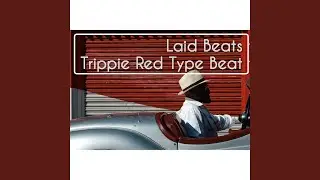 Trippie Red Type