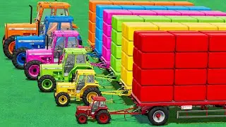 Transporter with Colors! ULTRA FAST BALING GRASS BALE with MINI TO BIG MASSEY FERGUSON TRACTORS!