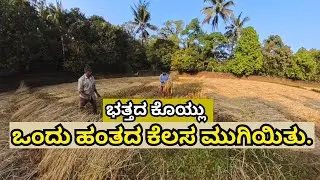 || ಭತ್ತದ ಕೊಯ್ಲು ||  ಒಂದು ಹಂತದ  ಕೆಲಸ ಮುಗಿಯಿತು. || Part 3 || The end || || Mr. D Karnataka ||