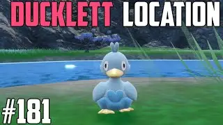 Как поймать Даклетта &mdash; Pok&eacute;mon Scarlet & Violet (DLC)