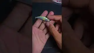 Minnow casting yang sering dipakai oleh pemula #mancing #tutorialmancing #pemancingpemula #tips