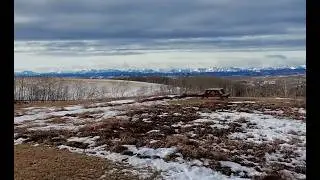 ZentnerVideo:Alberta