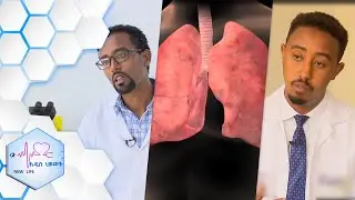 ስለ ሳንባ ህመም (TB)  እና ቤተ-ሙከራ (laboratory) ለጤናችን ያለው ፋይዳ፡፡ አዲስ ሕይወት ክፍል 332/ NEW LIFE EP 332