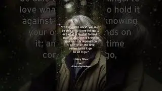 Embracing Impermanence: Mary Oliver's Guide to Loving, Holding, and Letting Go in Life &ndash; Poetry