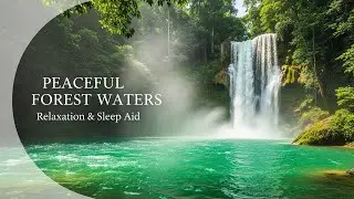 Gentle Forest Ambience with Green Stream Flow for Sleep Meditation Stress Relief and Calm Focus