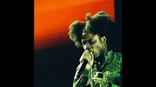 [FREE] Dancehall Riddim Instrumental 